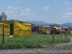Shacks 5